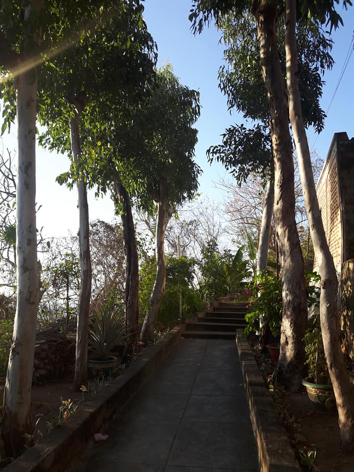 marigoldinvest.vn