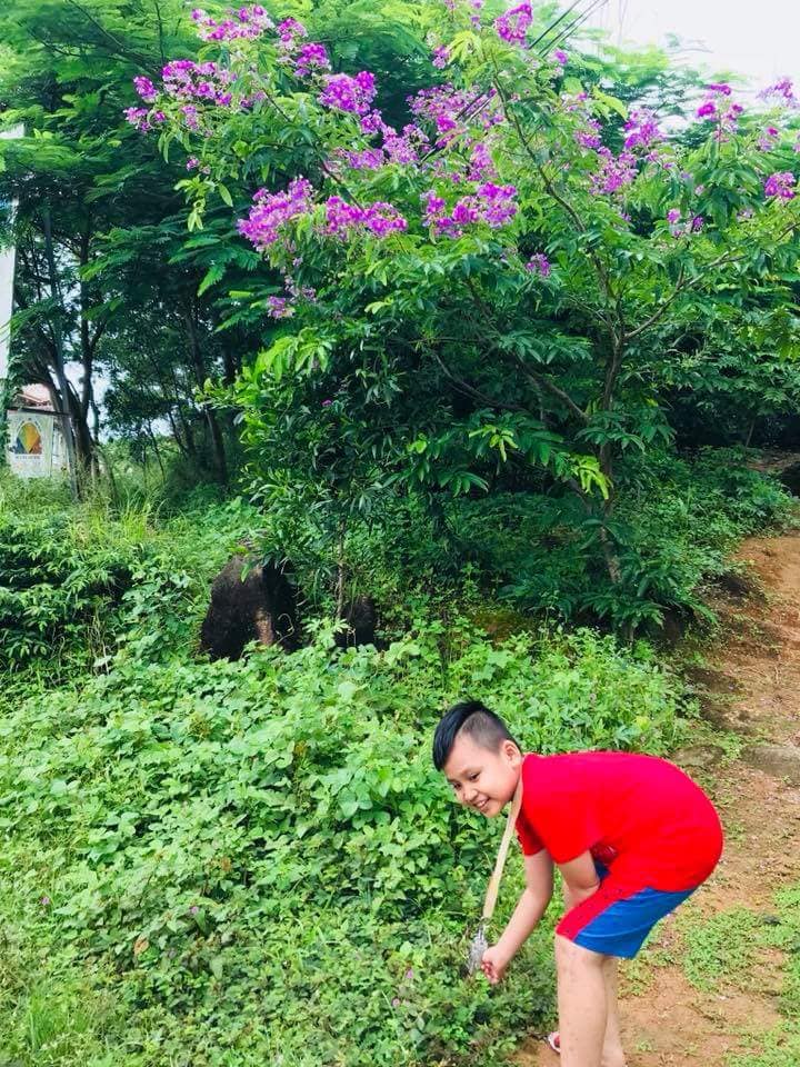 marigoldinvest.vn