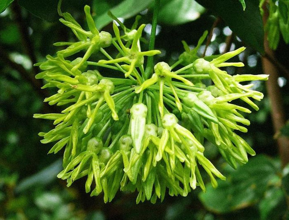 marigoldinvest.vn