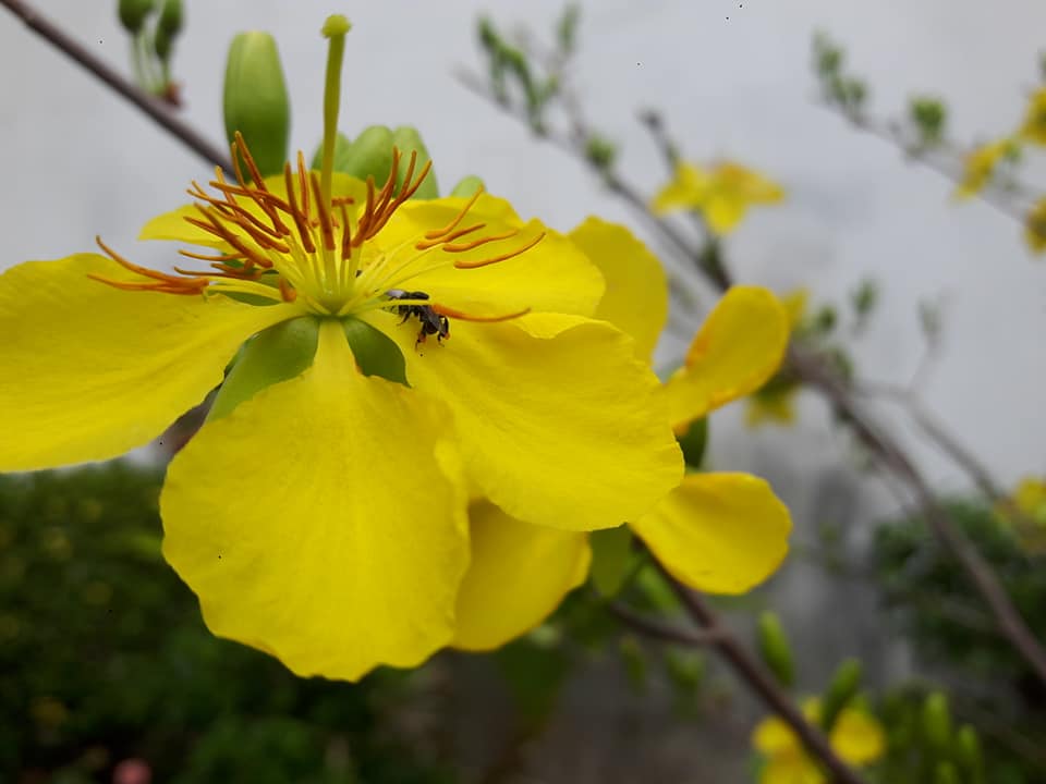 marigoldinvest.vn