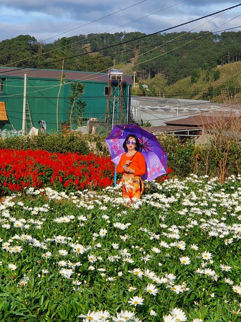 marigoldinvest.vn