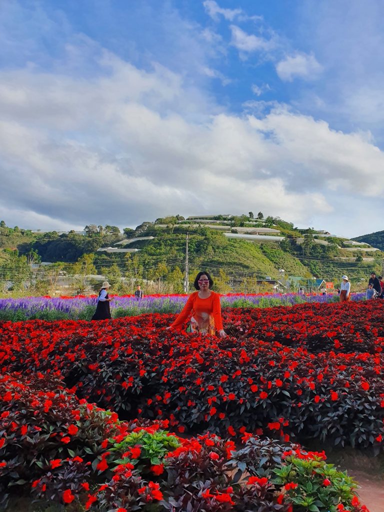marigoldinvest.vn