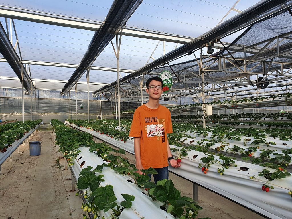 marigoldinvest.vn